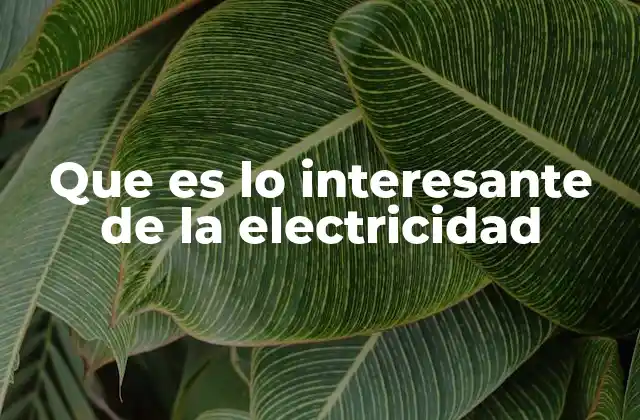 Que es Lo Interesante de la Electricidad