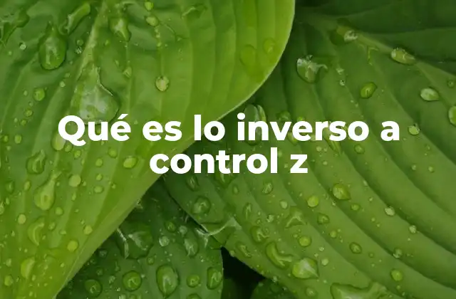 Qué es Lo Inverso a Control Z