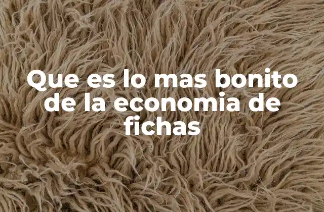 Que es Lo mas Bonito de la Economia de Fichas