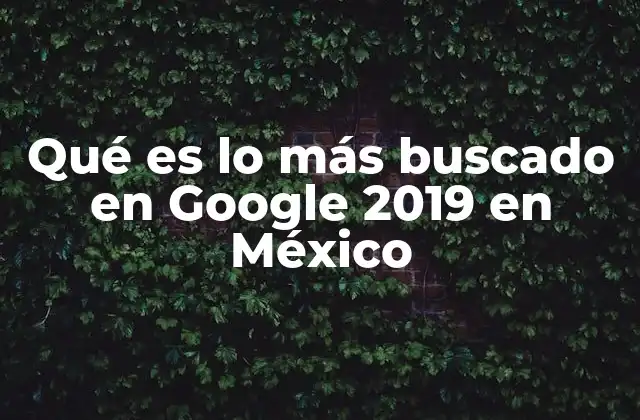 Qué es Lo Más Buscado en Google 2019 en México