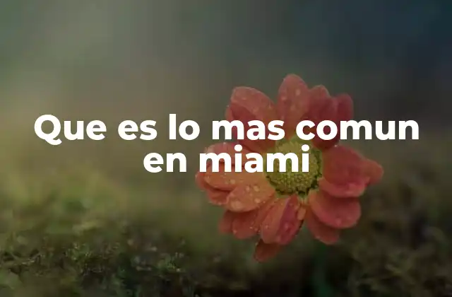 La vida diaria en la Florida del Sur