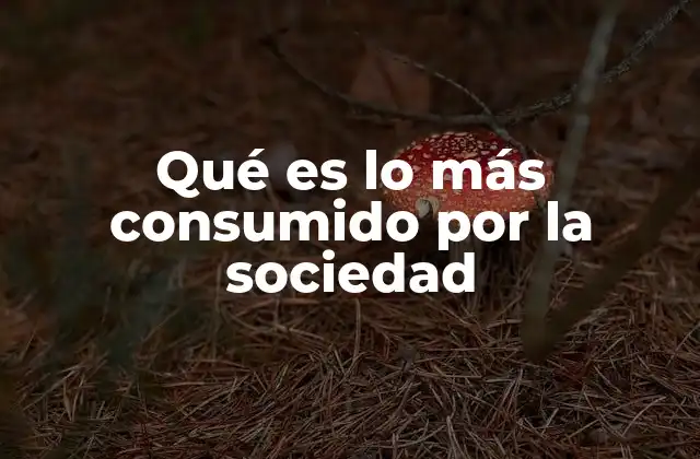 Qué es Lo Más Consumido por la Sociedad