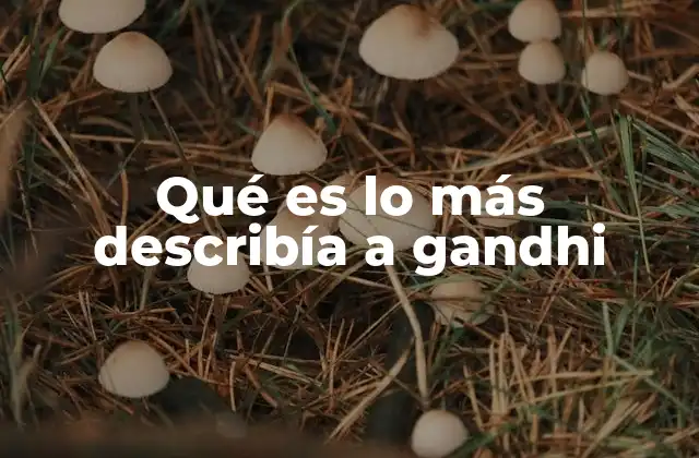 Qué es Lo Más Describía a Gandhi