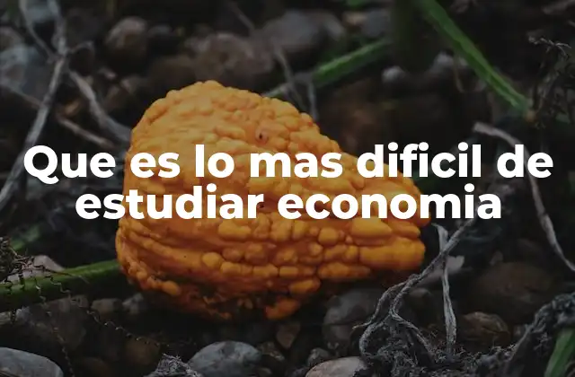 Que es Lo mas Dificil de Estudiar Economia