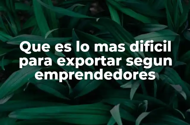 Que es Lo mas Dificil para Exportar Segun Emprendedores