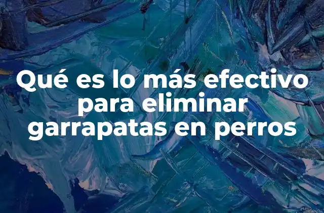 Qué es Lo Más Efectivo para Eliminar Garrapatas en Perros