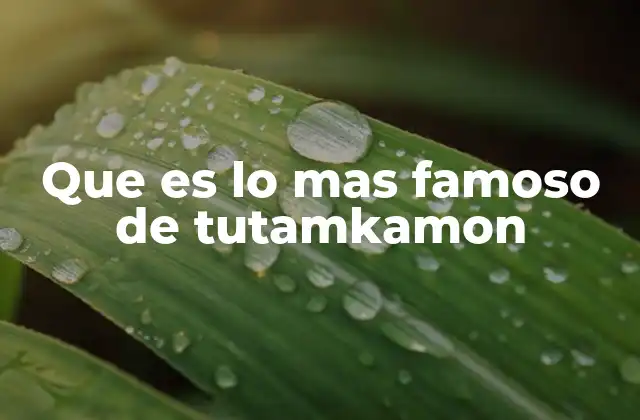 Que es Lo mas Famoso de Tutamkamon