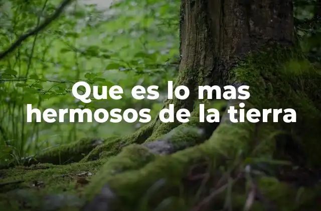 Que es Lo mas Hermosos de la Tierra