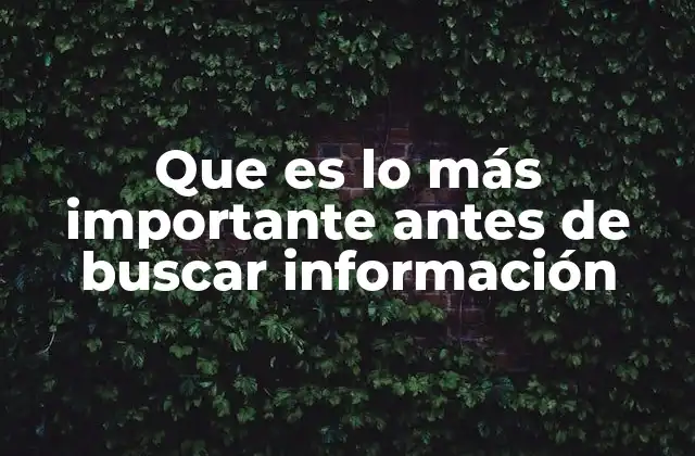 Que es Lo Más Importante Antes de Buscar Información