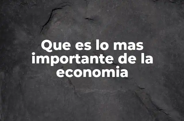 Que es Lo mas Importante de la Economia