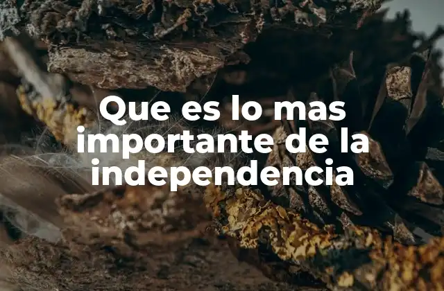 Que es Lo mas Importante de la Independencia 2 La autonomía como eje central de la independencia
