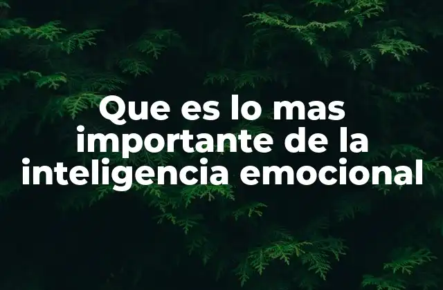 Que es Lo mas Importante de la Inteligencia Emocional