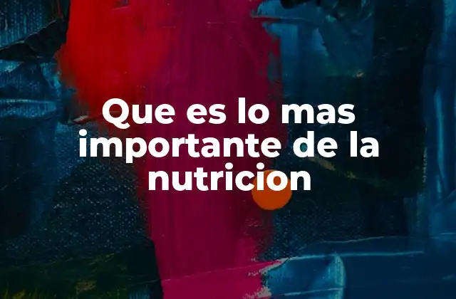 Que es Lo mas Importante de la Nutricion