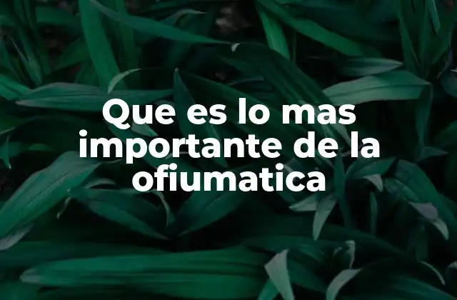 Que es Lo mas Importante de la Ofiumatica