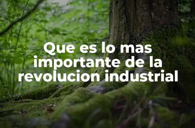 Que es Lo mas Importante de la Revolucion Industrial