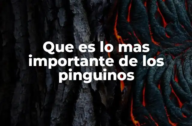 Que es Lo mas Importante de los Pinguinos