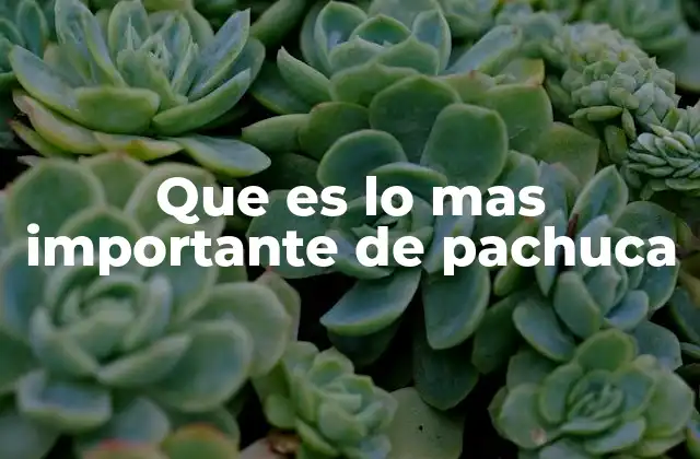 Que es Lo mas Importante de Pachuca