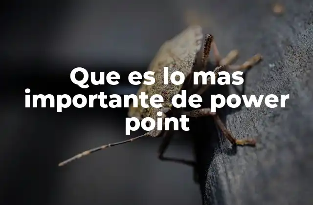 Que es Lo mas Importante de Power Point