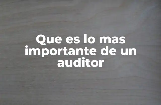 Que es Lo mas Importante de un Auditor