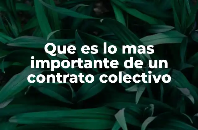 Que es Lo mas Importante de un Contrato Colectivo