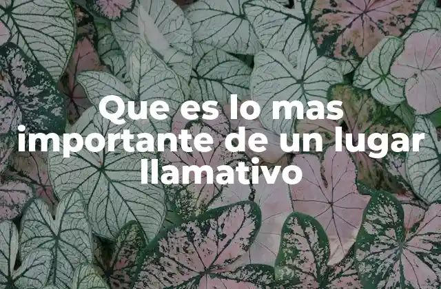 Que es Lo mas Importante de un Lugar Llamativo