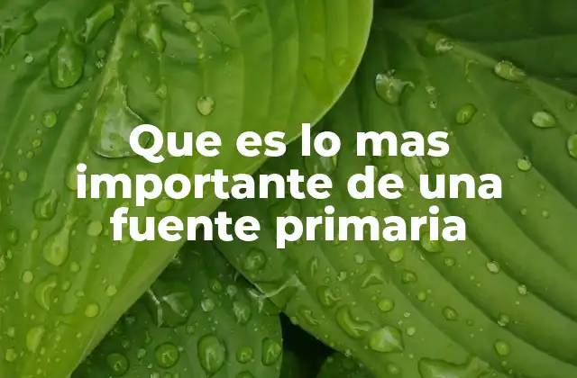 Que es Lo mas Importante de una Fuente Primaria