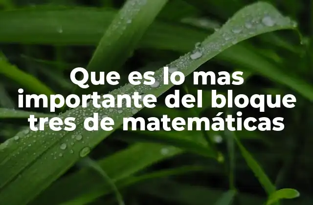 Que es Lo mas Importante Del Bloque Tres de Matemáticas