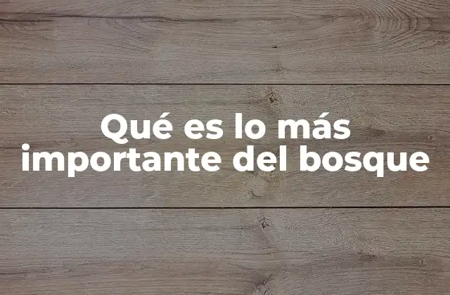 Qué es Lo Más Importante Del Bosque 2 La importancia de los bosques para el planeta