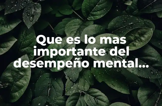 Que es Lo mas Importante Del Desempeño Mental Definicion