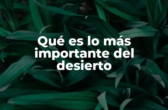 Qué es Lo Más Importante Del Desierto