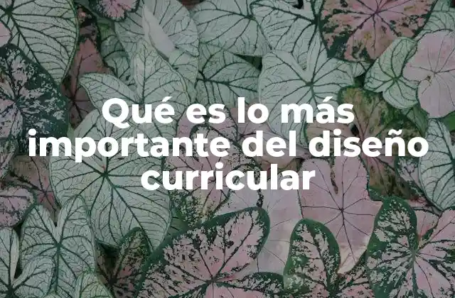 Qué es Lo Más Importante Del Diseño Curricular 2 La importancia de alinear los contenidos con las necesidades reales de los estudiantes