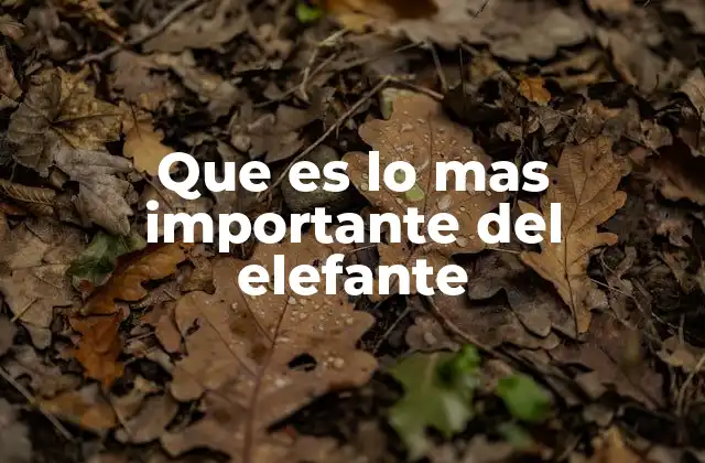 Que es Lo mas Importante Del Elefante