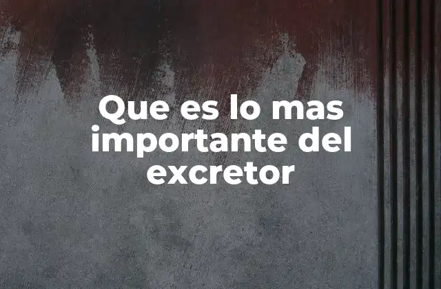 Que es Lo mas Importante Del Excretor