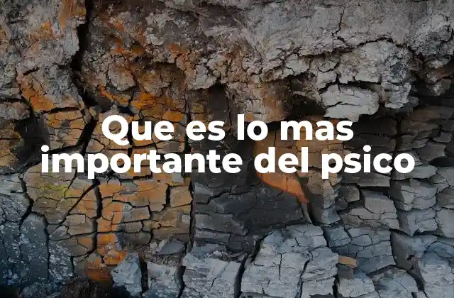 Que es Lo mas Importante Del Psico