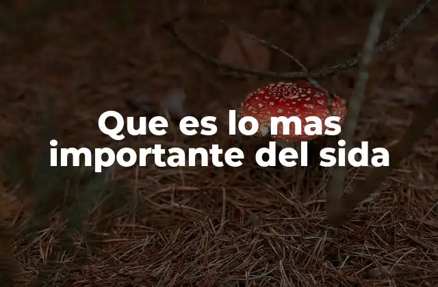 Que es Lo mas Importante Del Sida