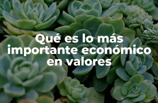 Qué es Lo Más Importante Económico en Valores
