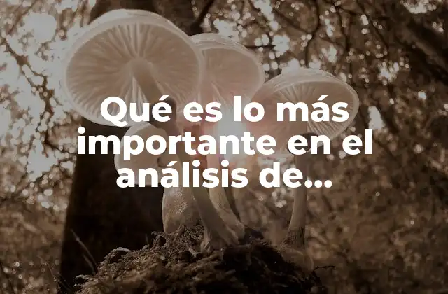 Qué es Lo Más Importante en el Análisis de Documentos