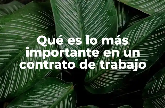 Qué es Lo Más Importante en un Contrato de Trabajo