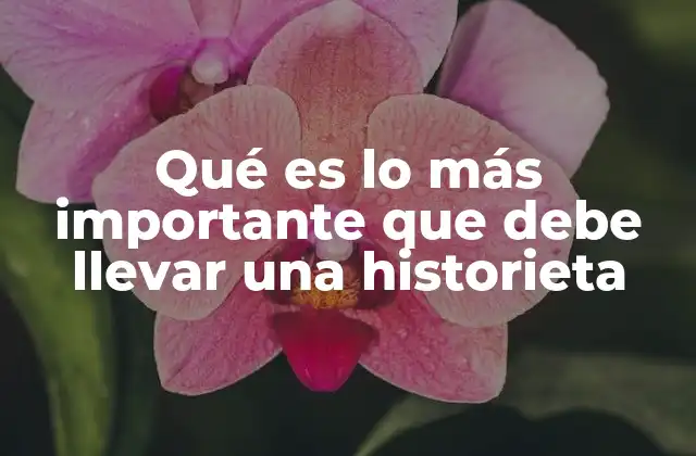 Qué es Lo Más Importante que Debe Llevar una Historieta