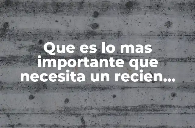 Que es Lo mas Importante que Necesita un Recien Nacido