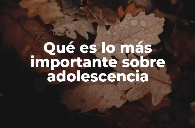 Qué es Lo Más Importante sobre Adolescencia