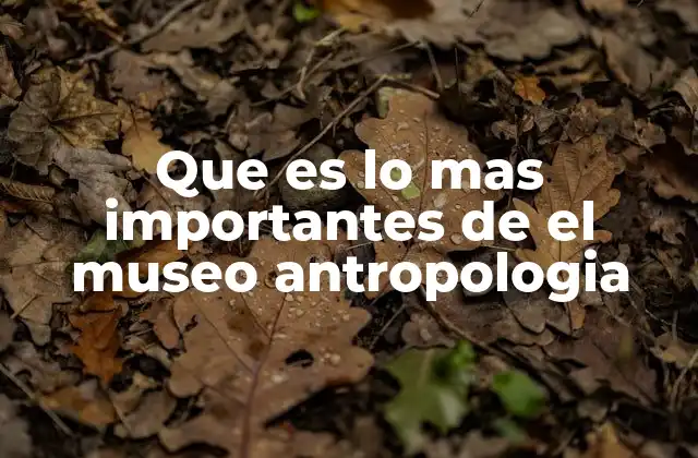 Que es Lo mas Importantes de el Museo Antropologia