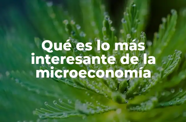 Qué es Lo Más Interesante de la Microeconomía