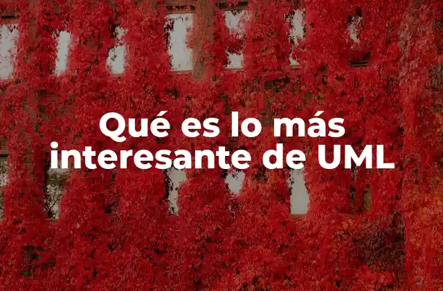 Qué es Lo Más Interesante de Uml