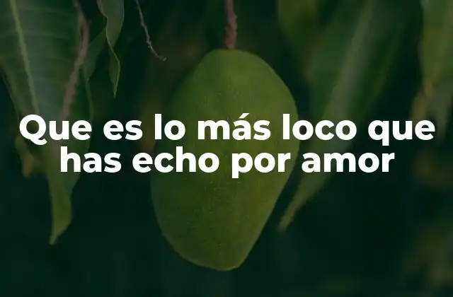 Que es Lo Más Loco que Has Echo por Amor