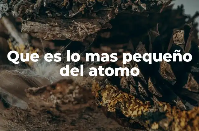 Que es Lo mas Pequeño Del Atomo