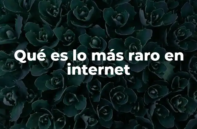 Qué es Lo Más Raro en Internet