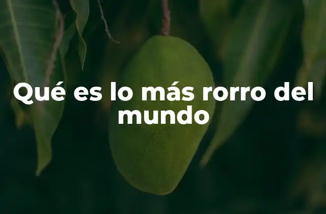 Qué es Lo Más Rorro Del Mundo