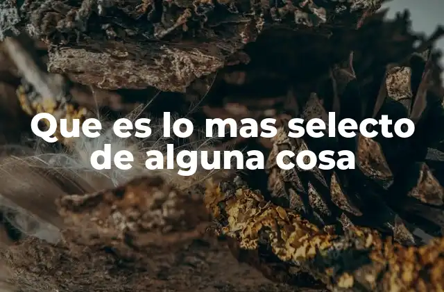 Que es Lo mas Selecto de Alguna Cosa