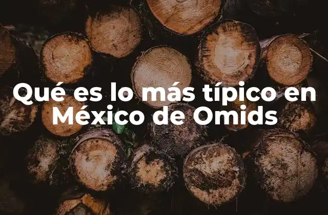 Qué es Lo Más Típico en México de Omids